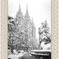 Salt Lake White Christmas