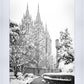 Salt Lake White Christmas