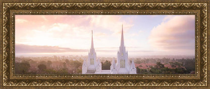 San Diego Morning Fog Aerial