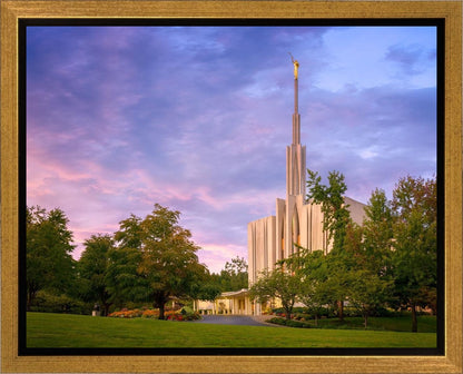 Seattle Evening Panorama