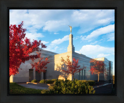 Snowflake Vivid Autumn