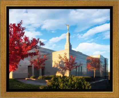 Snowflake Vivid Autumn
