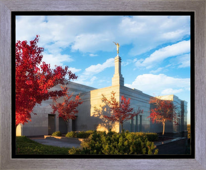 Snowflake Vivid Autumn