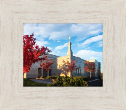 Snowflake Vivid Autumn