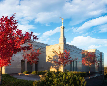 Snowflake Vivid Autumn