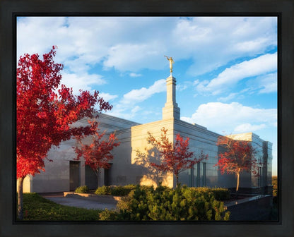 Snowflake Vivid Autumn