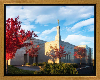 Snowflake Vivid Autumn