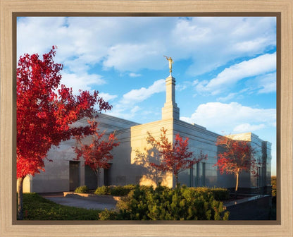 Snowflake Vivid Autumn