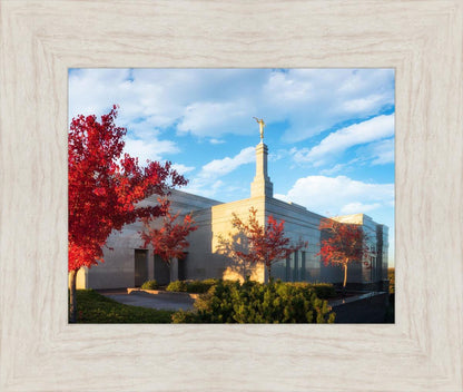 Snowflake Vivid Autumn