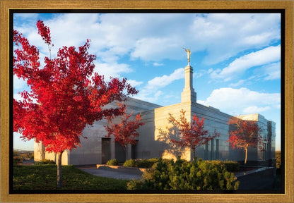 Snowflake Vivid Autumn