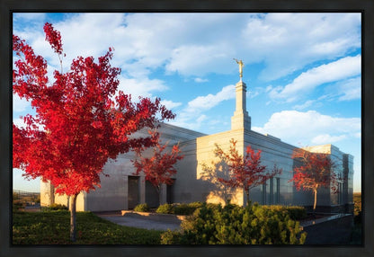 Snowflake Vivid Autumn