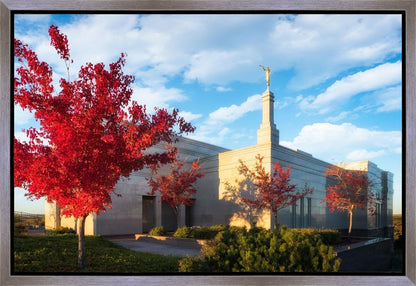 Snowflake Vivid Autumn