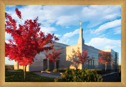 Snowflake Vivid Autumn