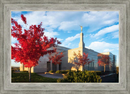 Snowflake Vivid Autumn