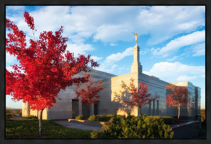 Snowflake Vivid Autumn