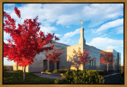 Snowflake Vivid Autumn