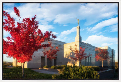 Snowflake Vivid Autumn