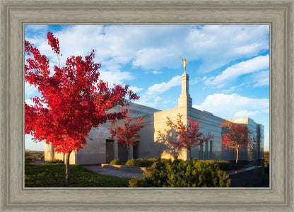 Snowflake Vivid Autumn