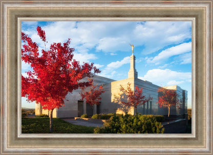 Snowflake Vivid Autumn