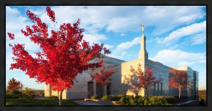 Snowflake Vivid Autumn