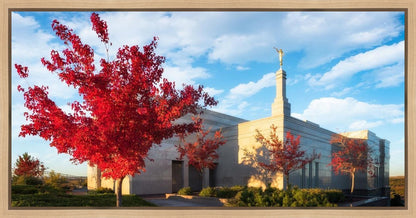 Snowflake Vivid Autumn