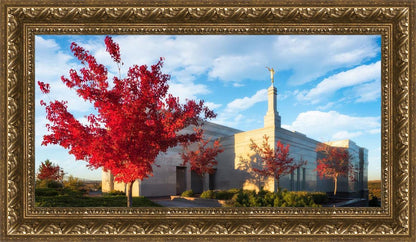 Snowflake Vivid Autumn