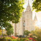 Salt Lake - The Lord is My Light (Vertical)