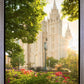 Salt Lake - The Lord is My Light (Vertical)