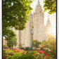 Salt Lake - The Lord is My Light (Vertical)