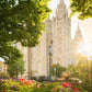 Salt Lake - The Lord is My Light (Vertical)