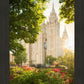 Salt Lake - The Lord is My Light (Vertical)