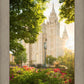 Salt Lake - The Lord is My Light (Vertical)
