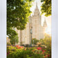 Salt Lake - The Lord is My Light (Vertical)