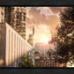 Manhattan Solace