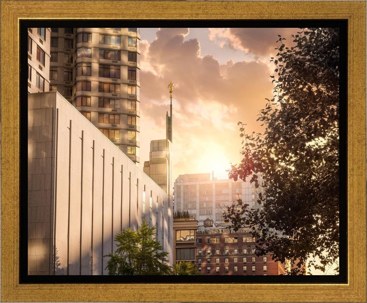 Manhattan Solace