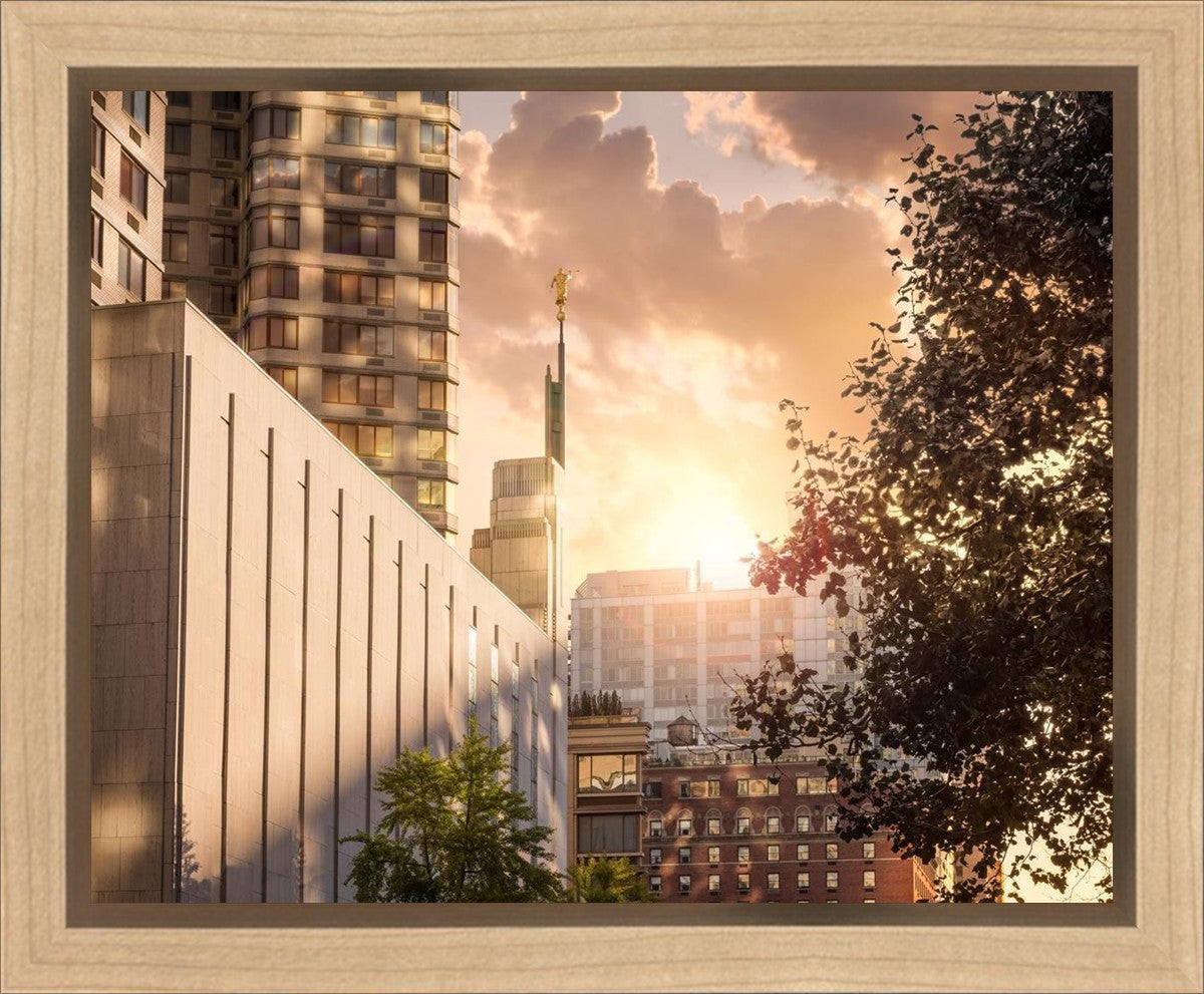 Manhattan Solace