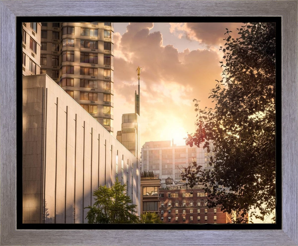 Manhattan Solace