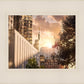 Manhattan Solace