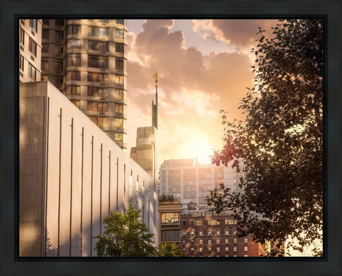 Manhattan Solace