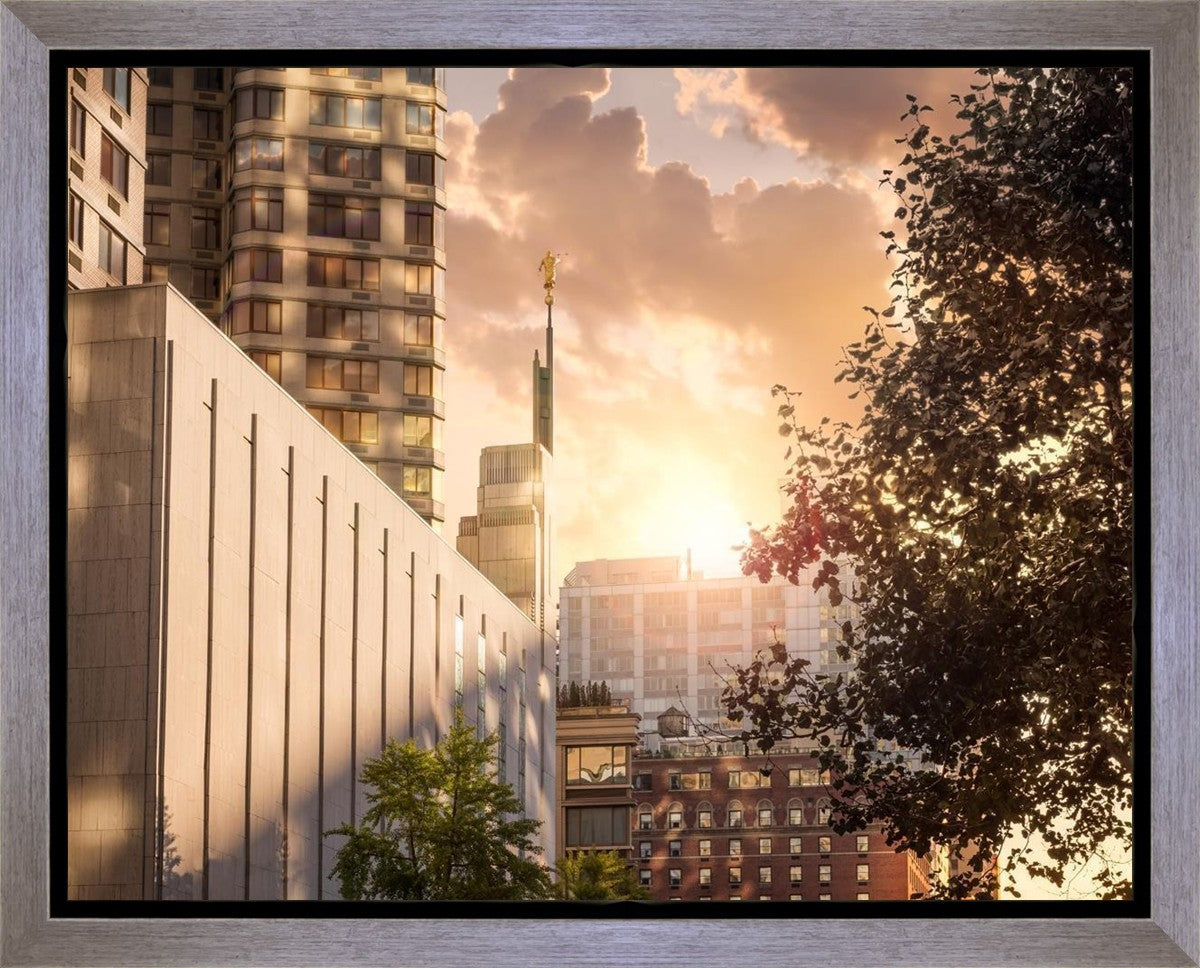 Manhattan Solace
