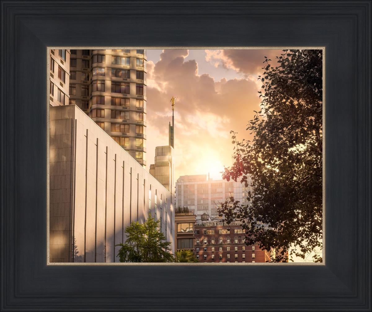 Manhattan Solace