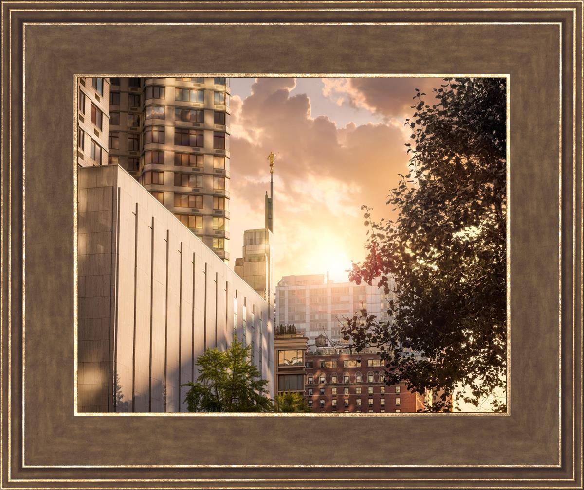Manhattan Solace