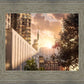 Manhattan Solace