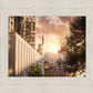 Manhattan Solace