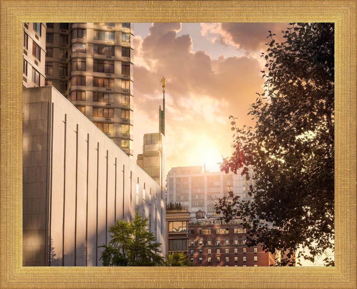 Manhattan Solace