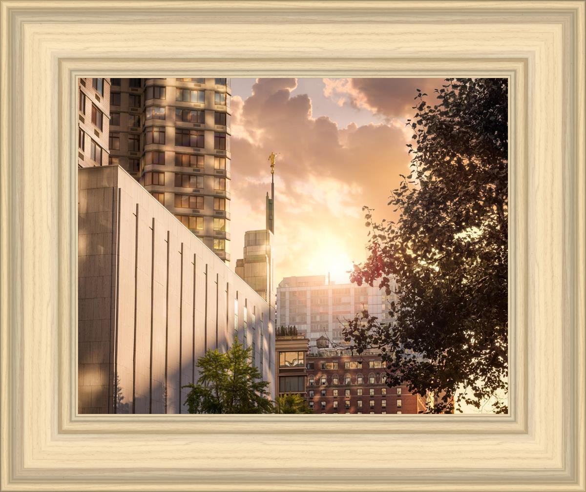Manhattan Solace