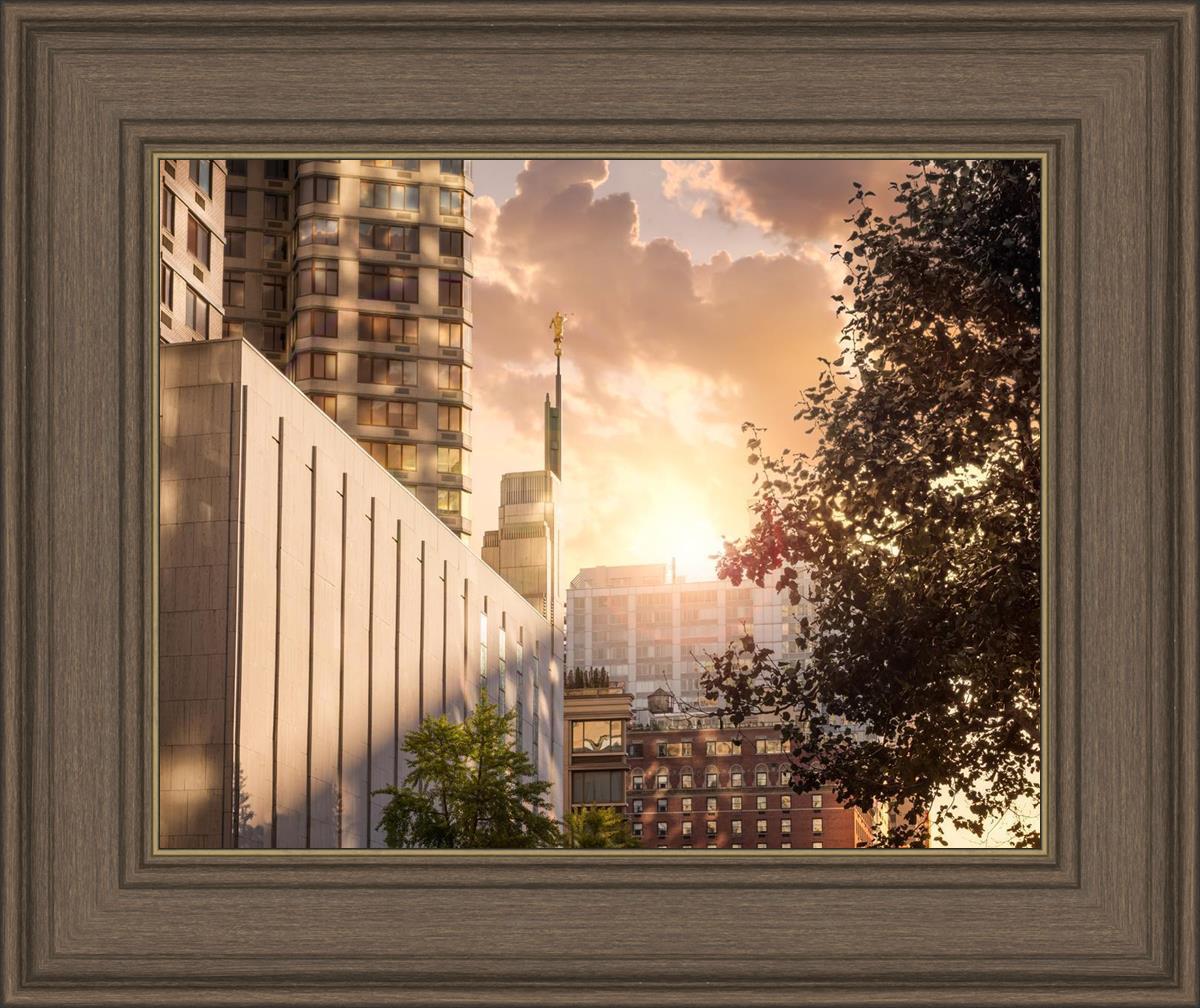 Manhattan Solace