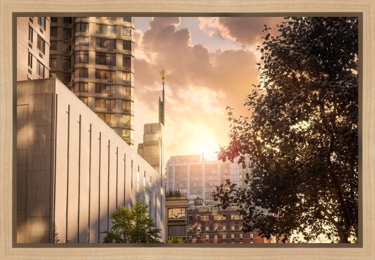Manhattan Solace