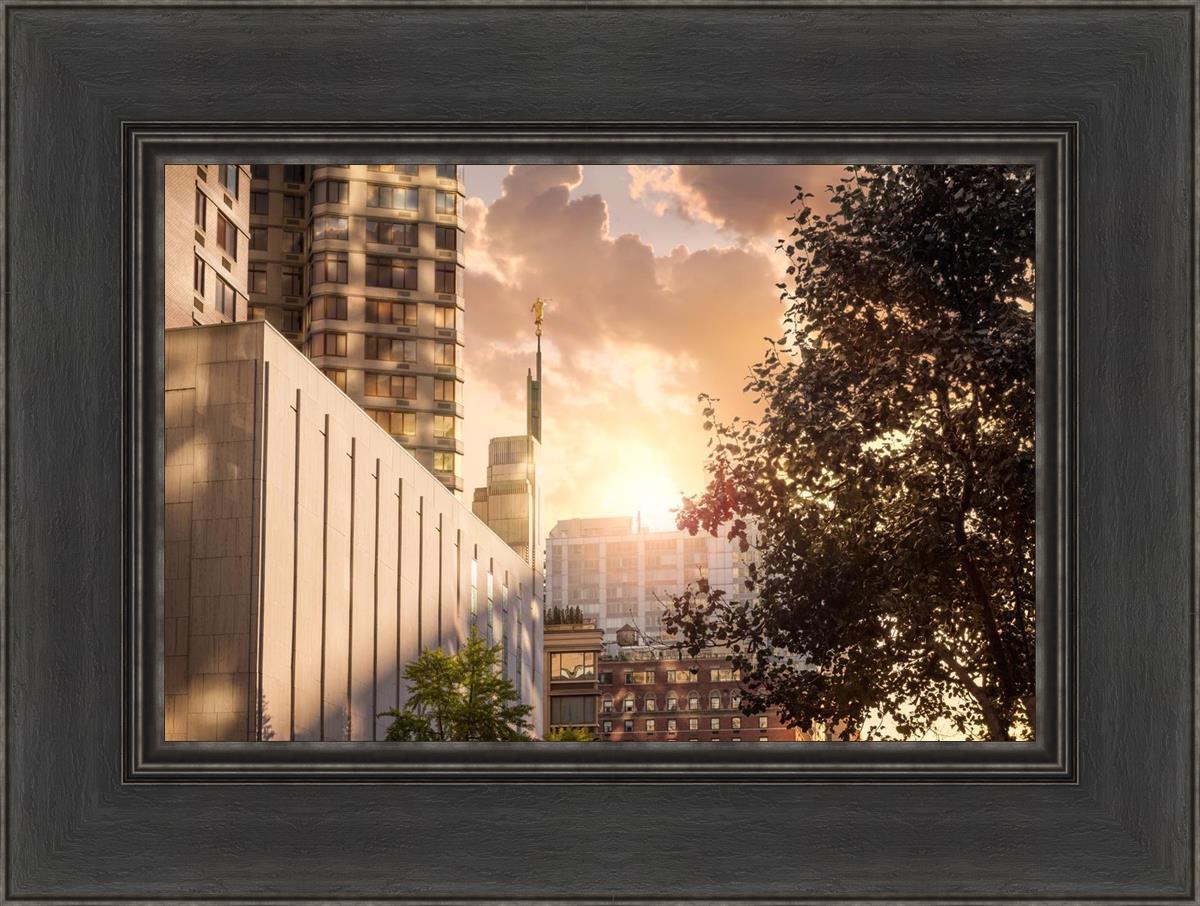Manhattan Solace
