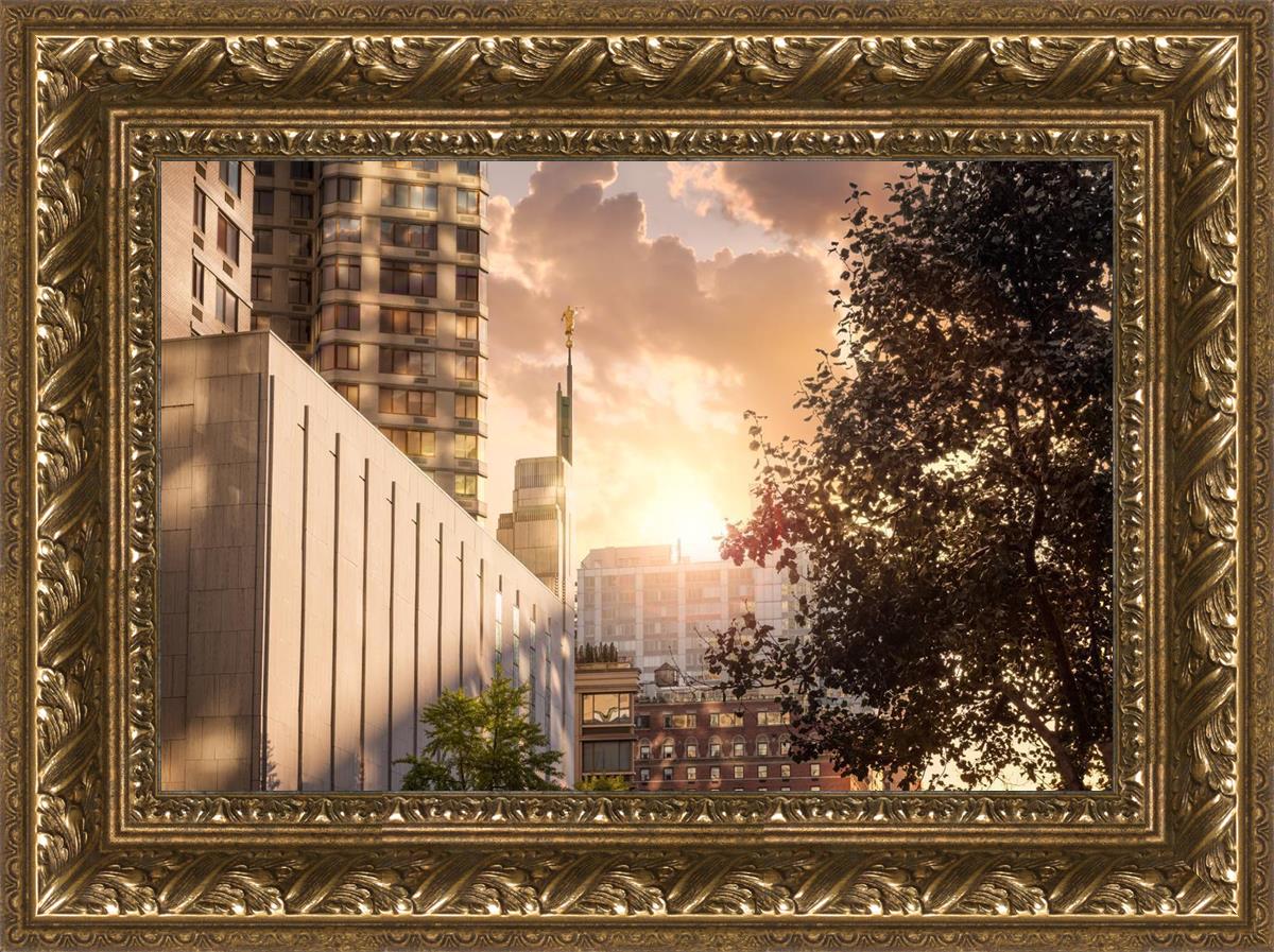 Manhattan Solace